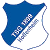  TSG 1899 Hoffenheim 